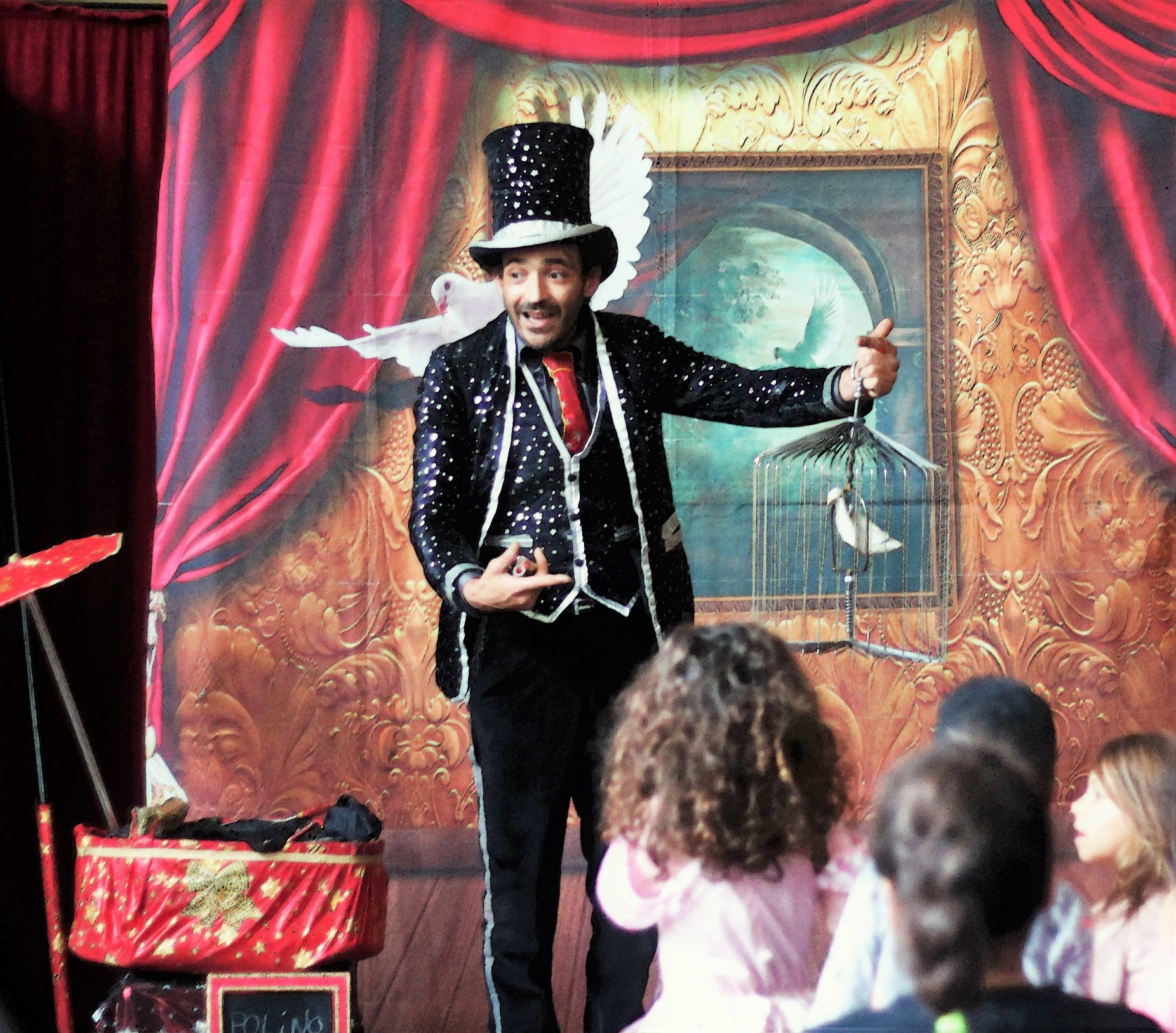 Magiciens, animations d’illusion, shows spectaculaires